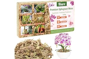 Riare 100g Sphagnum Moos für Pflanzen Natürliche Lange Faser Torf Anthrax Pflanzen trocknen, Fleischfresser Pflanzen Orchideen Topf Pflanzen gemischte Orchideen, Fleischfresser, Fleischfrüchte (100g)