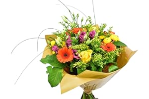MORNING FLOWERS Jolie Bouquet- Fresh Flowers Next Day Delivery Prime is a Lovely Gift for All Occasion-Easter- Birthday- Thank You- Get Well Soon- Fresh Flowers Beauty Gift