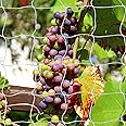 Tcamp Trellis Netting for Plants (5Ft x30Ft, 3.5" Square Mesh Ployester, 2Pack)
