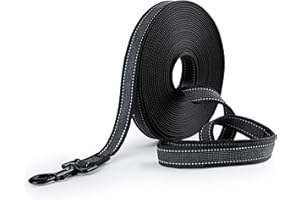 Toozey Longe pour Chien Petits à Grands et Moyens avec Caoutchoucs Antidérapants et Bandes Réfléchissantes, 5m 10m 15m 20m Laisse de Longue Dressage en Nylon Douce et Résistante, 10m x 2,5cm