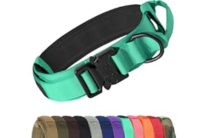 Joytale Obroża taktyczna dla dużego psa, regulowana nylonowa obroża z metalową klamrą, turkusowa, L