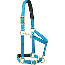 Weaver Leather Basic Non - Adjustable Nylon Halter - Turquoise - 1 Inch - Foto 3