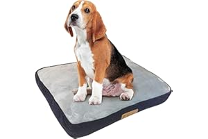 Ellie-Bo Legowisko dla psa XL - niebieski sztruks/szare sztuczne futro