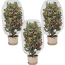 Plantenbeschermingsnet, 3 x 6 m, fijnmazig, bloemenbeschermingsnet, plantennet, groentennet, tuinnet, insectennet, beschermingsnet voor planten, groenten en fruit