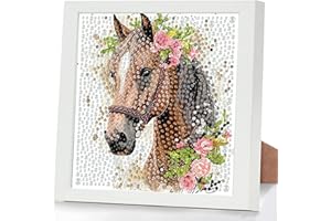 GHHKUD Pferd 5D Diamond Painting Kinder mit Rahmen, Diamond Painting Bilder Erwachsene, Diamant Malerei Set Geschenk für Kinder und Mädchen ab 6 8 10 Jahren, Diamant Art Home Decor(18x18cm)