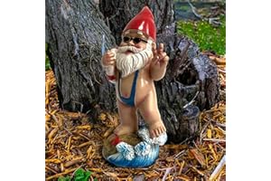 JOKBEN Nain de jardin Gnome - Anneau de vie - Sculptures ou statues de jardin - Décoration de jardin amusante - Pour l'extérieur, l'extérieur - Décoration de patio (cercle de natation)