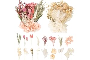 ‎LAUMOE LAUMOE 2 Sätze Trockenblumen, Trockenblumen zum Basteln, Getrocknete Blumen Weiß Deko für Kunst Basteln Dekoration