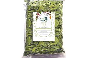 SPICE R US Neem Leaves Cut Dried | Leaf | Limda Leaves Premium Quality 50g-1900g (90g)