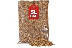 Beewarm Premium Wild Bird Food – Calci worms for Garden Birds – High Energy, No Mess Bird Feed (5L Bag, Calci Worms)