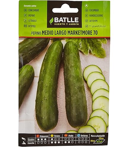 Graines De Concombre Marketer &agrave; Semer | Graines Bocquet