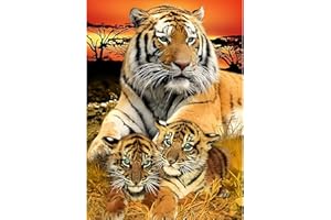 MXJSUA DIY Diamond Painting Kits for Adults Family of Tigers Diamond Art Paint with Round Diamonds Full Drill Gem Art Painting Kit for Home Wall Decor 30x40cm