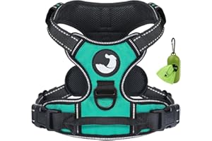 Joytale Dog Harness Medium No Pull Harness for Dogs with 2 Leash Clips, Adjustable Soft Padded Dog Harness Reflective with Easy Control Handle for Walking and Training, Teal, M