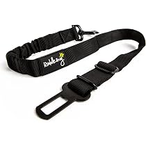 Ceinture De Sécurité Pour Chien En Voiture Floxik - Avec Amortisseur Élastique, Réglable - Pour Chiens Petits/Moyens