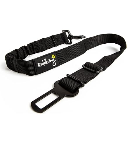 Portachiavi E Guinzagli Da Parete In Metallo Nero Con Scritta Let's Go For A Walk - Con Sagome Cane E Gatto