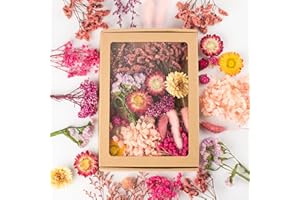 ‎LAUMOE LAUMOE Getrocknete Blumen, Trockenblumen, Trockenblumen Zum Basteln Mini Trockenblume Bunt Set für Tischdeko DIY Epoxidharz Scrapbook Zubehör (H2)