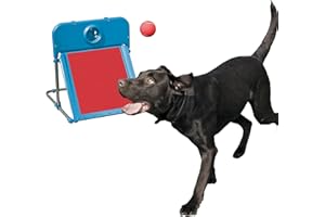 Rosewood Chien Kit de Balle pour Saut