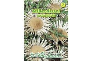 N.L. Chrestensen 531391 Silberdistel (Silberdistelsamen)