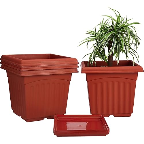 Amazon Brand - Solimo Square Pots for Plants with Bottom Tray|Unique Design|UV Treated Plastic|Indoor and Outdoor Flower Pot for Home/Office/Table/Garden/Balcony|14 inch (Set of 4, Brown)
