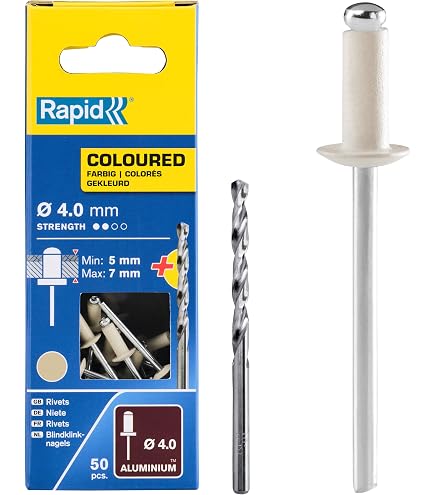 SKIR'CO Lot De 100 Rivets Aveugles Pop Aluminium Blanc RAL 9006, 4,0 X 8 Mm, Tête Bombée DIN 7337