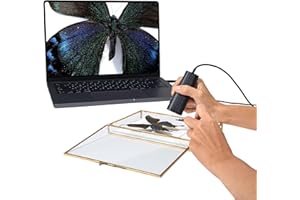 IPEVO P2V Ultra 4K/13MP Objektkamera mit Kameraclip, 1 cm Super-Makrofokus, Handheld, Webcam & Doc Kamera, eingebautes Mikrofon mit AI-Rauschunterdrückung, für Nahaufnahmen Demo, Unterricht &