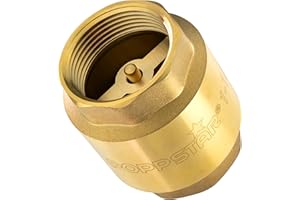 Poppstar Clapet Anti-retour 1 1/4 pouce (Laiton, Inoxydable & Étanche) pour Pompe et Lave-linge