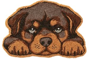 TIENDA EURASIA - Felpudo Entrada Casa | Diseños Originales y Divertidos | para Exterior | Fibra de Coco y Base de Goma Antideslizante | Multicolor | Medidas 40x60x1.5 cm (Perro)