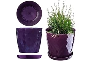 KADAX Plastikowa Doniczka na kwiaty, okrągła donica z podstawką, lekki i wytrzymały materiał, dekoracyjna donica na rośliny, zioła (12 cm, fioletowa)