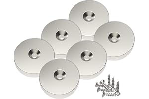 Magnetpro 6 pezzi magneti al neodimio a disco 25 x 5 mm, foro per testa svasata, trazione 10 kg con 6 viti