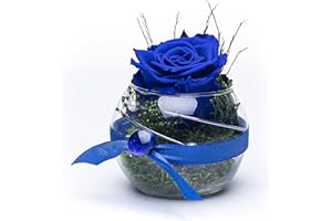 Rosen-Te-Amo, Regalo para ella| Rosa eterna conservada de San Valentín azul en Vaso | San Valentin | hecho a mano | En una caja de regalo fina | Infinity Rosas: decoración y regalos para mujeres