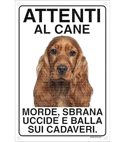 Cartello 'Attenti Al Cane' In Metallo | Misura 15x20 Cm | Design Cocker Mod. 2 - Foto 5