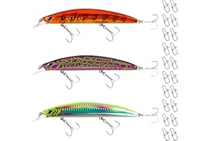 ‎NASTY BAIT Raubfisch Wobbler Set, mit Crankbait, Minnow Kunstködern, Verschiedene Größen und Gewichte für Hecht, Barsch Zander, Rapfen. BKK Haken, schwimmend