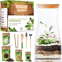 Complete Planten Terrarium Set PYEF CRAFTS Terrarium Set XL – Doe-het-zelf Gesloten Ecosysteem Met 4 Liter Pot, Grondstoffen & Gereedschap Complete Plantenterrarium