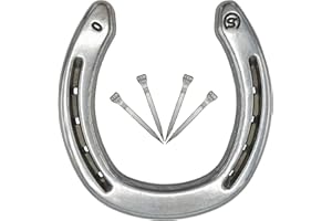 IBOSCOLY Ferro Di Cavallo Portafortuna Vero Originale Regalo Compleanno in alluminio forgiato Fermacarte Idea Gadget Laurea Anniversario Festa del Papà Pensionamento Nonno Inaugurazione