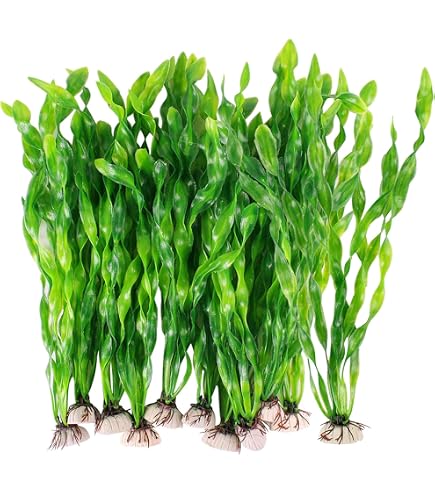 5 Bundels Aquariumplanten - 30 Stengels Gemengde Waterplanten - Vers En Kwalitatief Hoogwaardig