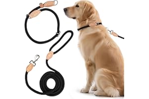 JOKUREAO 2 STK Freestyle Dressurhalsung Set, Zugstopp Halsband und Hundeleine Set,1.4 cm Retriever Halsband Hundeleine,Robustem Nylon Trainingshalsband Hund, Lederimitat mit Metallring