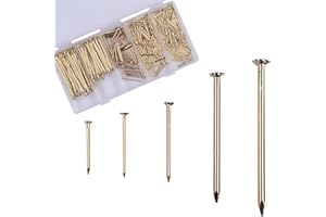 OMOTOOL Assortiment de clous - 300 pièces - Clous plaqués laiton pour accrocher des tableaux et du bois - Assortiment de 5 tailles