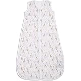 grobag bennie the bear