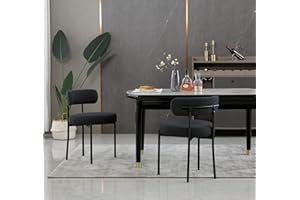 HomeTouch Modern Kitchen Dining Chairs Set of 2 with Curved Backrest for Dining Room Home Office Lounge Chair Bedroom Living Room Chairs (2, Black)