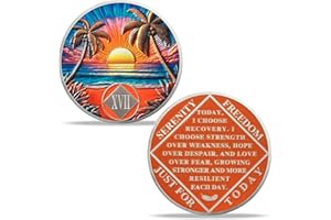 Imasoner 17 Year Sobriety Coin – Beach Serenity Diamond AA NA Chip Medallion with Serenity Prayer | Recovery Gift for Men & Women in Narcotics Alcoholics Anonymous