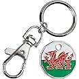 Harts 1 unit New Shape £1 coin Trolley Tokens Keyrings Supermarket Locker (Welsh Dragon)