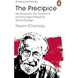 The Precipice: Neoliberalism, the Pandemic and the Urgent Need for Radical Change