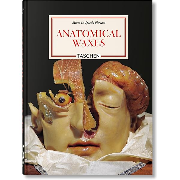 Encyclopaedia Anatomica: A Collection of Anatomical Waxes