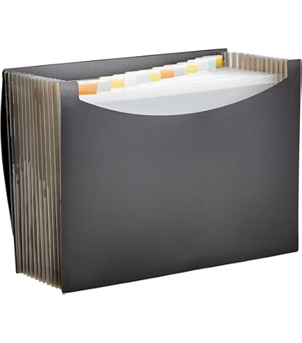 12 Cartelle Portadocumenti A4 Trasparenti - Organizzatore Fogli Per Ufficio E Scuola - Foto 5