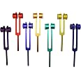 Set Radical 8 Diapason Per Chakra Con Genesis, Percussore E Borsa – CHAKRAGEN