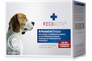 RECOACTIV Articulation Tonique pour Chiens, 3 x 90 ML, complément Alimentaire diététique en Cas de Maladies articulaires dégénératives, avec Moule Verte et glucosamine