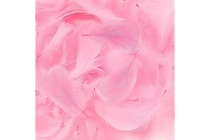 Mbsomnus 600 Pièces Plumes Rose Plumes Loisirs Creatifs 5-12 cm pour DIY Arts Crafts Costumes Chapeaux Boucles d'oreilles Attrape-Rêves Festival Anniversaire Mariage Décoration