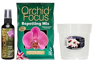 GROWTH TECHNOLOGY Orchid Myst 100ml Orchid Repotting Compost Mix 3L and 15cm Clear Orchid Pot Orchid Kit