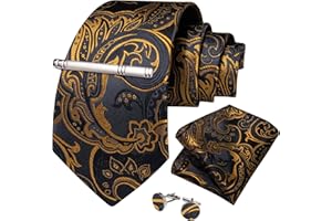 DiBanGu Men's Silk Woven Necktie Paisley Floral Tie Set with Pocket Square Cufflinks Tie Clip for Wedding Business