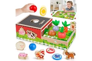 EICHHOO Montessori Spielzeug ab 1 2 Jahr: Geschenk Junge Mädchen 1-2 Jahre Kinderspielzeug Motorikwürfel Holzspielzeug Farmspiel mit Karte Karotten Steckspiel Lernspiel Kleinkinder ab 12 Monate Activity Spiel