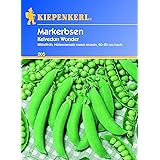 Markerbse W.Von Kelvedon